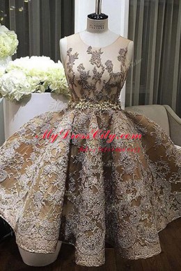 Champagne A-line Satin Scoop Sleeveless Lace and Appliques Mini Length Zipper Dress for Prom