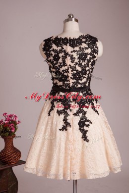 New Arrival Champagne Scoop Zipper Lace Club Wear Sleeveless