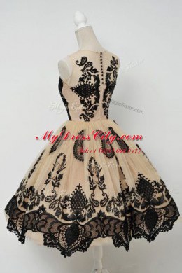 Tulle Scoop Sleeveless Zipper Lace Prom Party Dress in Champagne