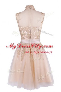 Enchanting Tulle Sleeveless Knee Length Prom Gown and Appliques