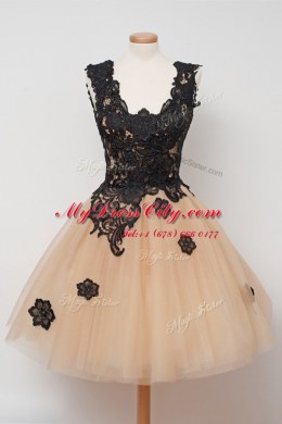 Square Sleeveless Zipper Prom Dress Champagne Tulle