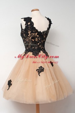 Square Sleeveless Zipper Prom Dress Champagne Tulle
