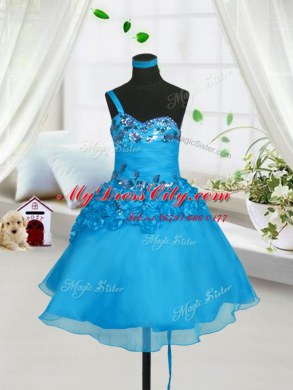 Baby Blue Sleeveless Organza Lace Up Kids Formal Wear for Party and Wedding Party