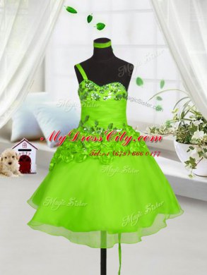 Organza One Shoulder Sleeveless Lace Up Beading and Hand Made Flower Little Girls Pageant Gowns in