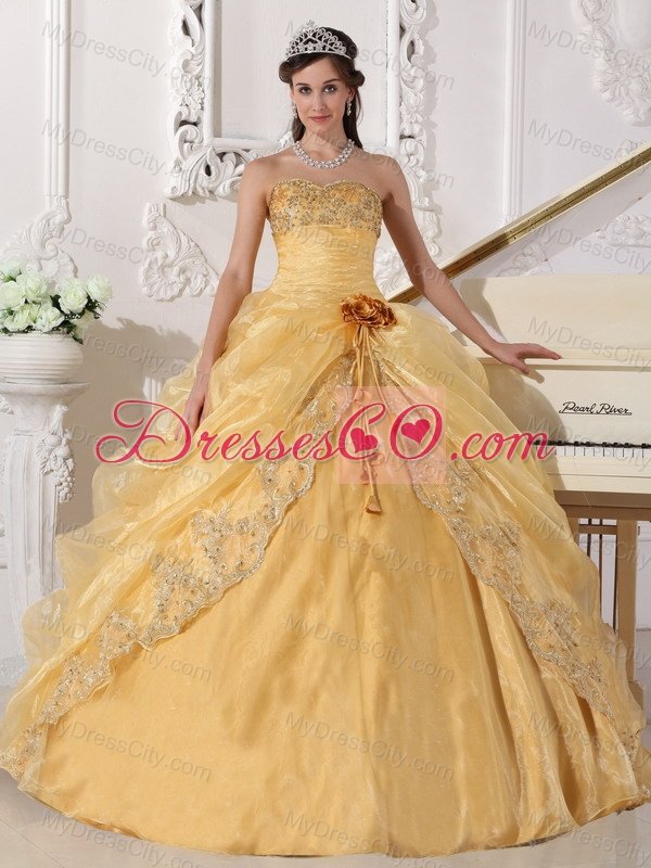 Gold Ball Gown Strapless Floor-length Organza Embroidery with Beading Quinceanera Dress