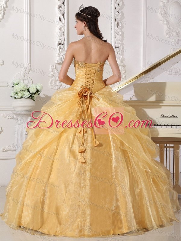 Gold Ball Gown Strapless Floor-length Organza Embroidery with Beading Quinceanera Dress