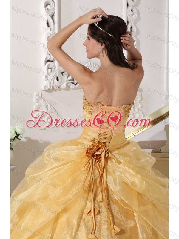 Gold Ball Gown Strapless Floor-length Organza Embroidery with Beading Quinceanera Dress