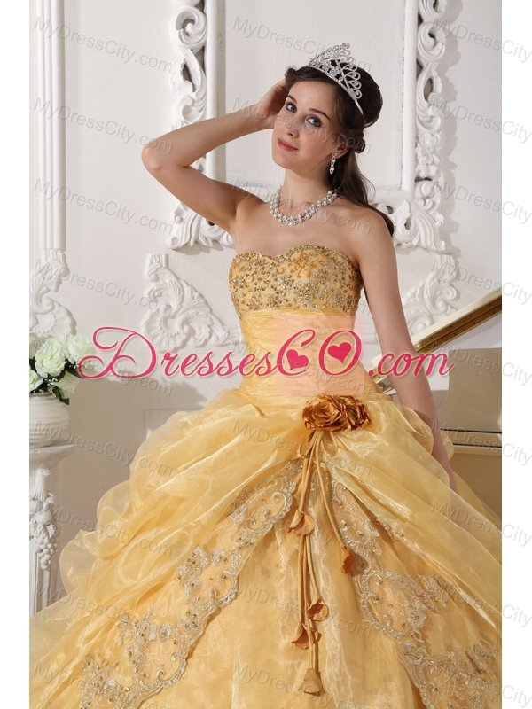 Gold Ball Gown Strapless Floor-length Organza Embroidery with Beading Quinceanera Dress