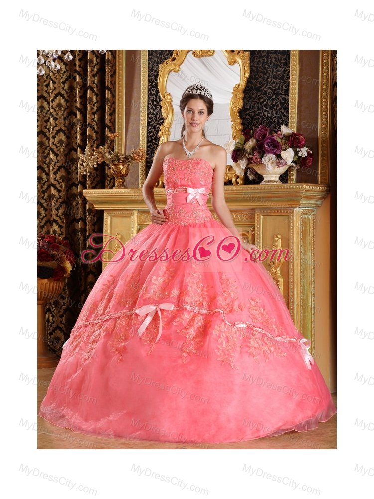 Watermelon Red Ball Gown Strapless Appliques Organza Quinceanera Dress