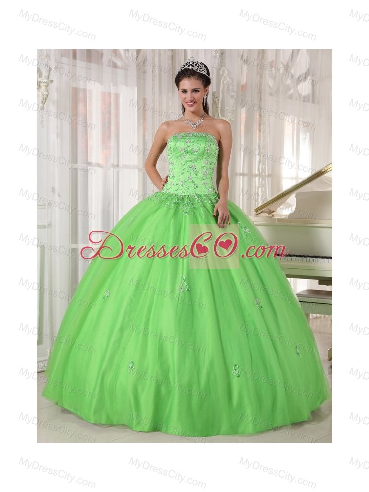 Spring Green Ball Gown Strapless Floor-length Taffeta and Tulle Appliques Quinceanera Dress