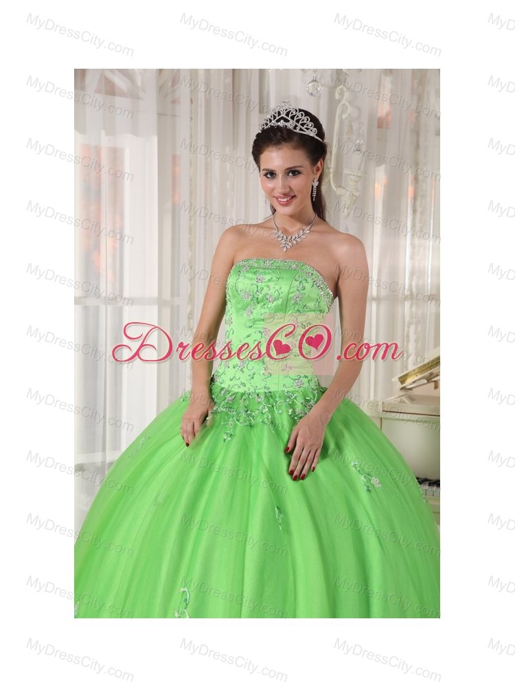 Spring Green Ball Gown Strapless Floor-length Taffeta and Tulle Appliques Quinceanera Dress