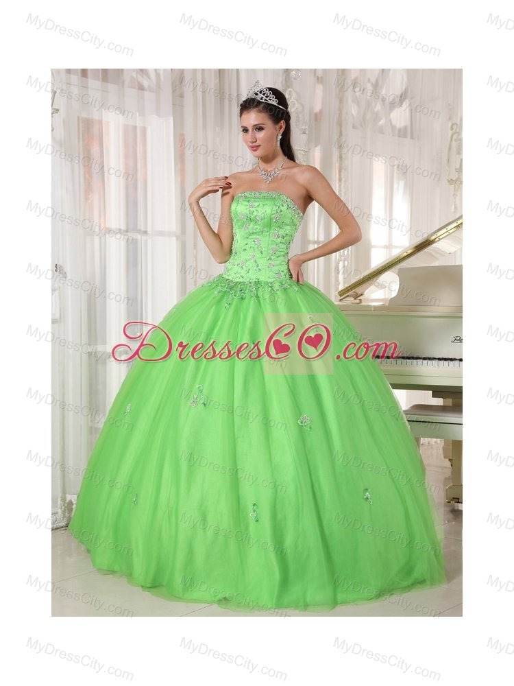 Spring Green Ball Gown Strapless Floor-length Taffeta and Tulle Appliques Quinceanera Dress