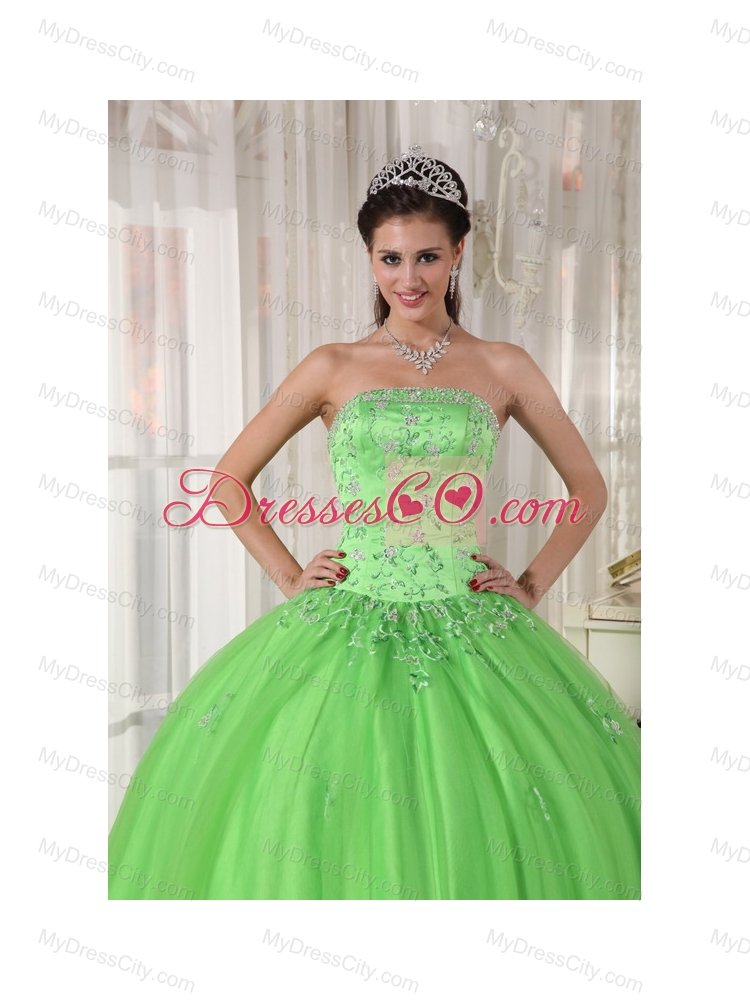Spring Green Ball Gown Strapless Floor-length Taffeta and Tulle Appliques Quinceanera Dress