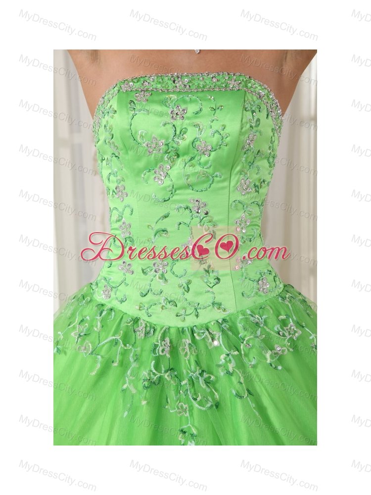 Spring Green Ball Gown Strapless Floor-length Taffeta and Tulle Appliques Quinceanera Dress