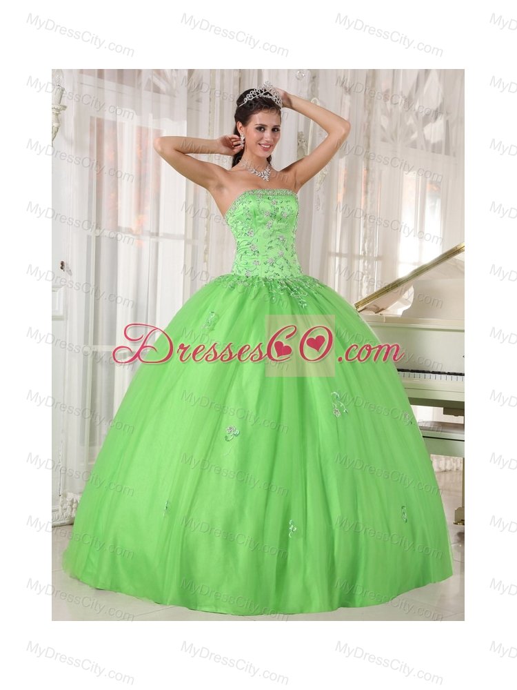 Spring Green Ball Gown Strapless Floor-length Taffeta and Tulle Appliques Quinceanera Dress