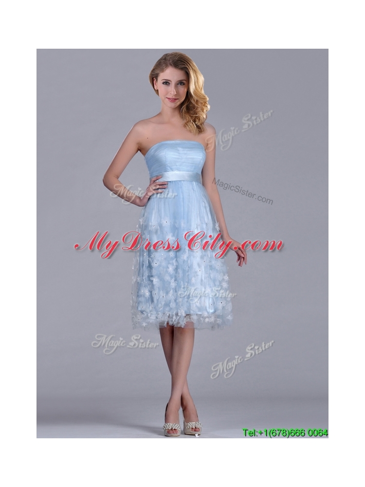 Gorgeous Empire Tea Length Applique Tulle Dama Dress in Light Blue