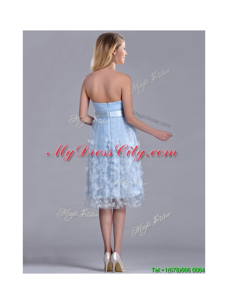 Gorgeous Empire Tea Length Applique Tulle Dama Dress in Light Blue