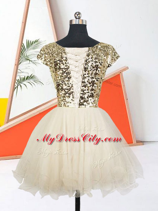 A-line Evening Dress Champagne Scoop Organza Short Sleeves Mini Length Lace Up