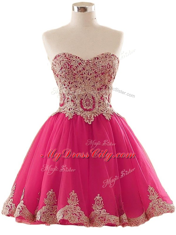 Clearance Mini Length A-line Sleeveless Hot Pink Prom Dress Lace Up