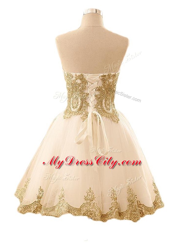 Comfortable Sleeveless Tulle Mini Length Lace Up Prom Evening Gown in Champagne with Lace and Appliques