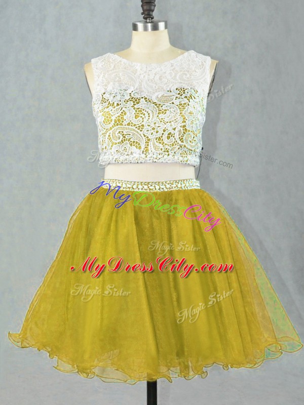 Beauteous Olive Green Zipper Scoop Lace and Appliques Prom Evening Gown Organza Sleeveless