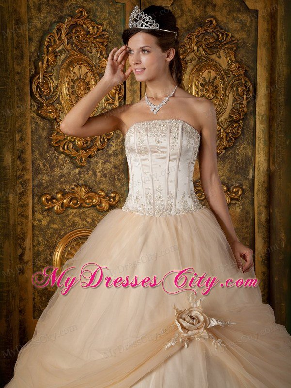 Champagne Strapless Beading Appliques Quinceanera Dress Under 300