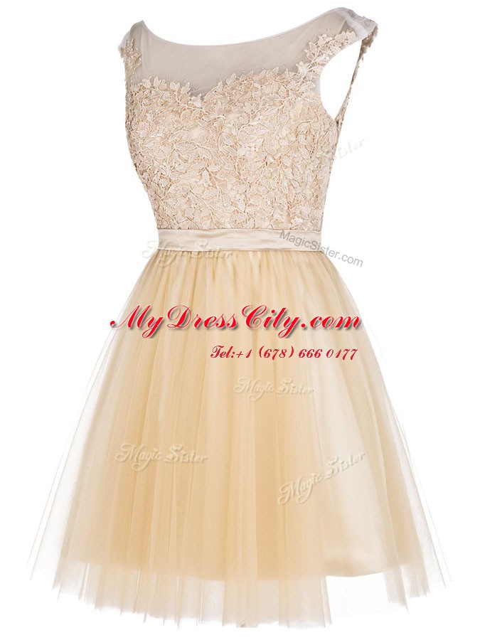 Champagne Empire Lace Party Dress for Toddlers Zipper Tulle Sleeveless Mini Length