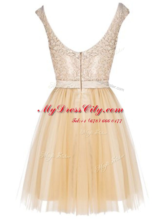 Champagne Empire Lace Party Dress for Toddlers Zipper Tulle Sleeveless Mini Length