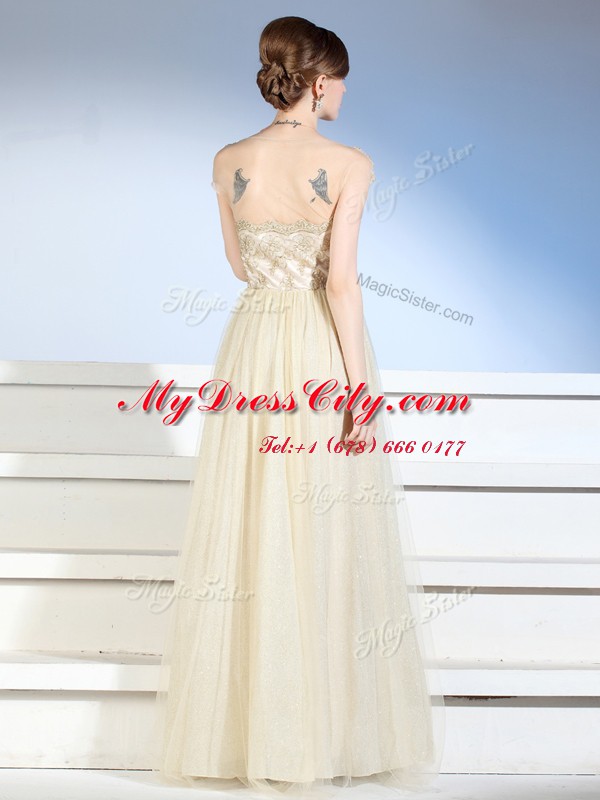 Suitable Champagne Column/Sheath Appliques Evening Dress Side Zipper Chiffon and Tulle Sleeveless Floor Length