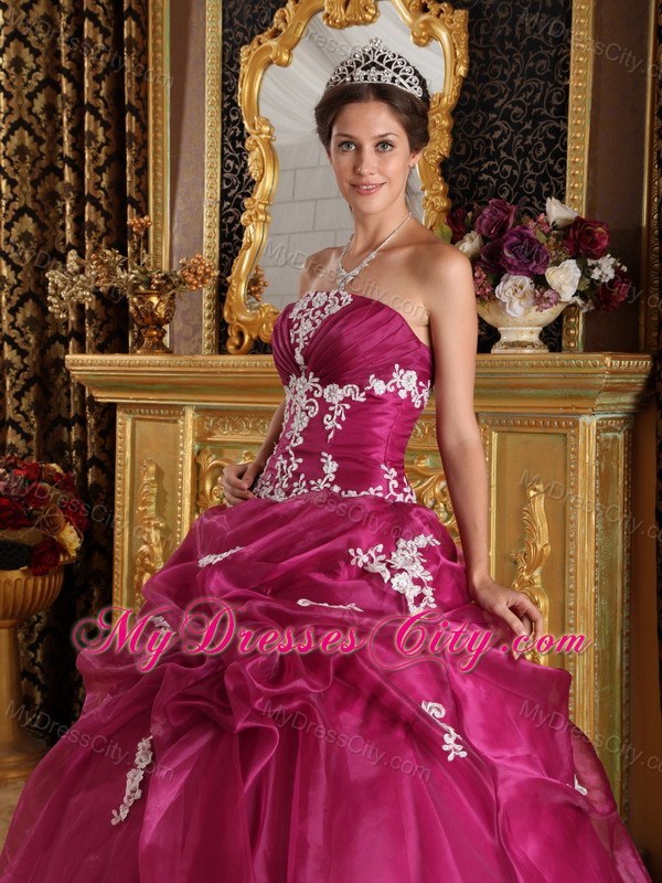 Burgundy Organza and Satin Appliques Quinceanera Gown