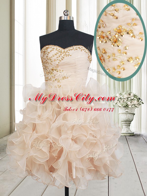 Dynamic Champagne Sleeveless Organza Lace Up Dress for Prom for Prom and Party