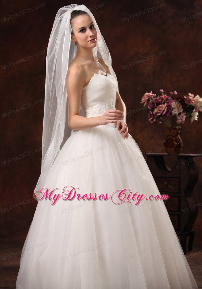 Beautiful Organza Bridal Veil For Wedding