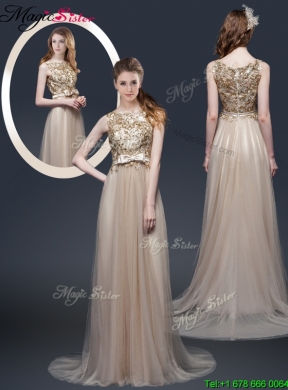 Luxurious Brush Train Prom Dresses with Appliques and Bowknot