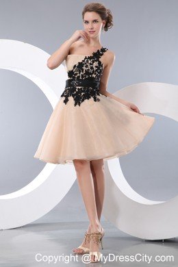 Champagne One Shoulder Prom Homecoming Dress with Appliques