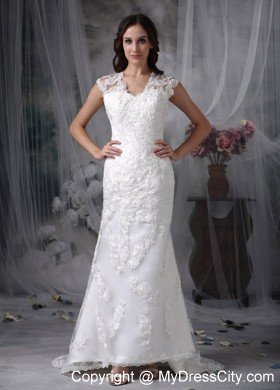 Column V-neck Brush Train Lace Sheer Back Wedding Dress