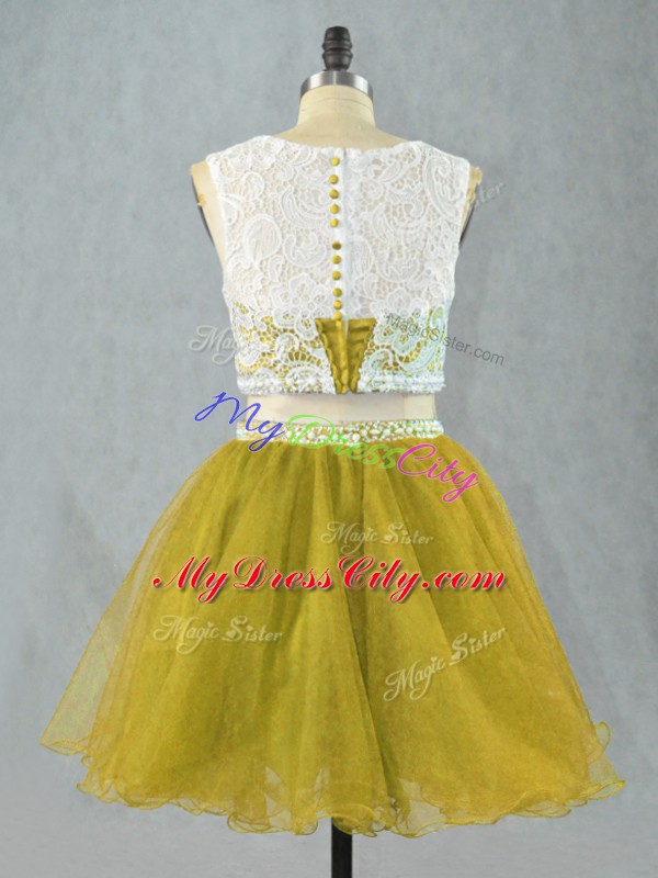 Beauteous Olive Green Zipper Scoop Lace and Appliques Prom Evening Gown Organza Sleeveless