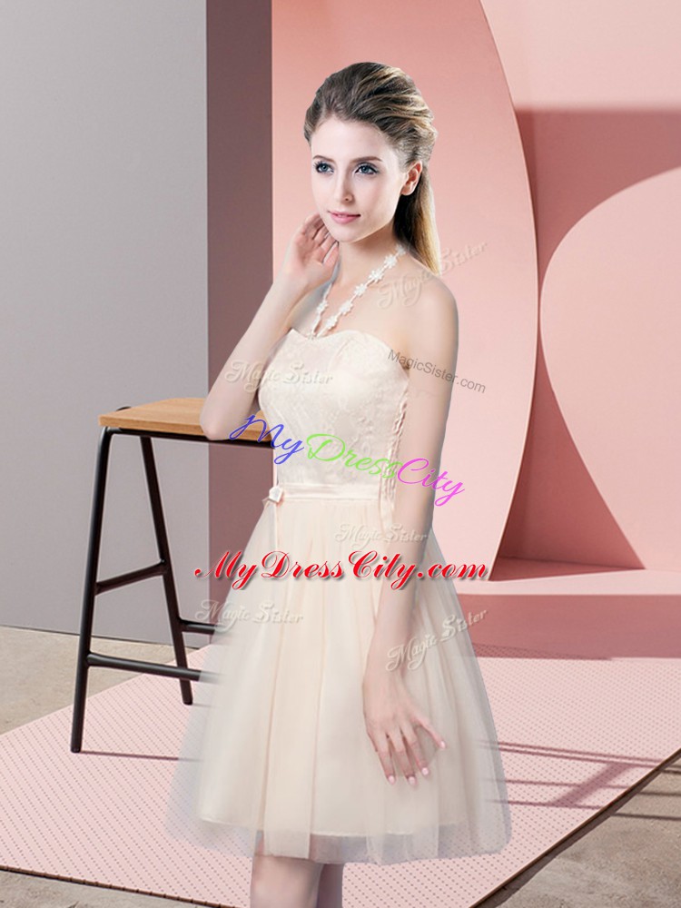 Champagne Tulle Side Zipper Prom Evening Gown Sleeveless Mini Length Lace