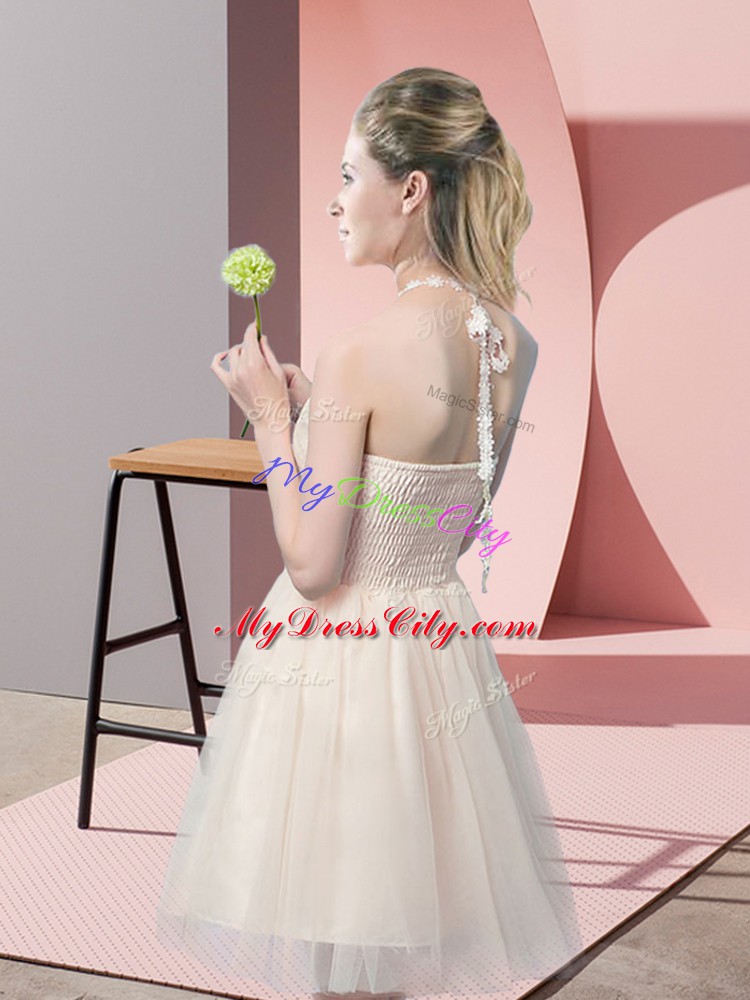 Champagne Tulle Side Zipper Prom Evening Gown Sleeveless Mini Length Lace