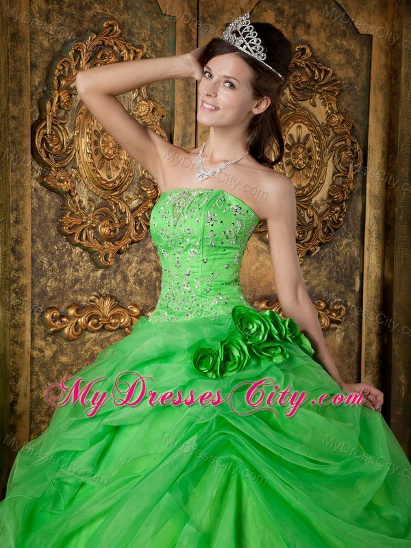 Flowers Strapless Appliques With Beading Quinceanera Dress In Spring Green