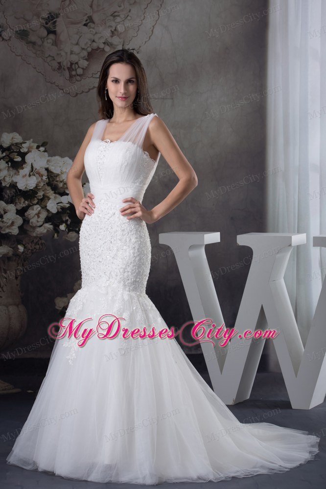 V-neck Mermaid Lace Brush Train Wedding Dress in Tulle Fabric